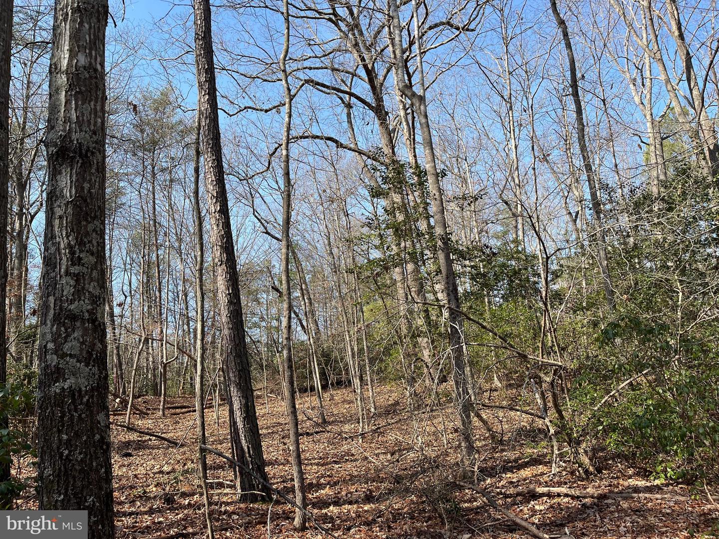 LOT 10A THUNDER RD   - REMAX Realty Group Rehoboth Real Estate