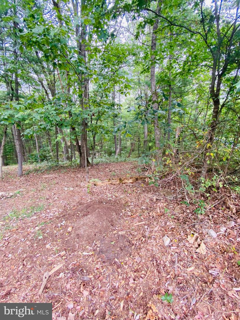 LOT 294 COTTONWOOD DRIVE   - REMAX Realty Group Rehoboth Real Estate