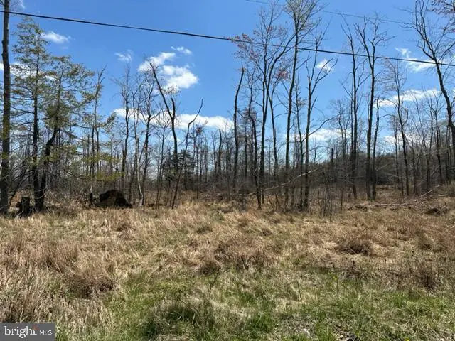 CHERRY RIDGE ROAD (LOT 3)   - REMAX Realty Group Rehoboth Real Estate