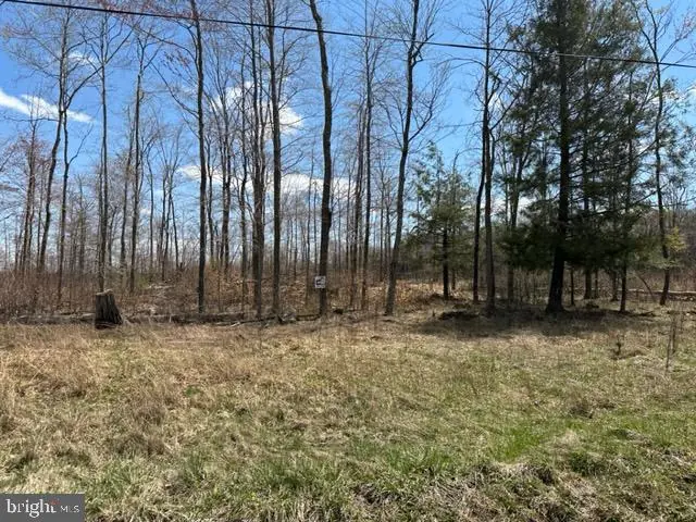 CHERRY RIDGE ROAD (LOT 4)   - REMAX Realty Group Rehoboth Real Estate