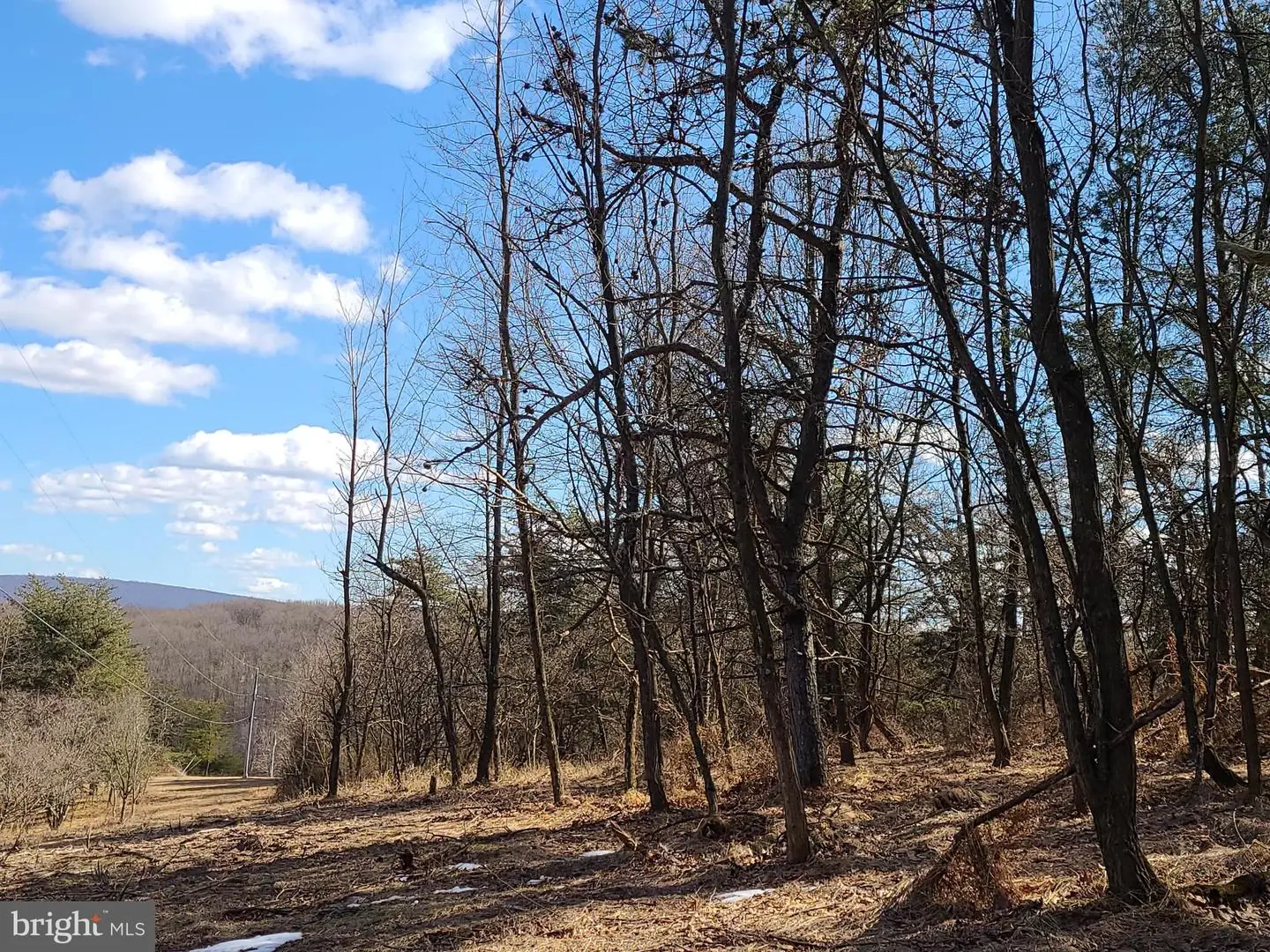 LOT 4 RUSTIC RDG   - REMAX Realty Group Rehoboth Real Estate