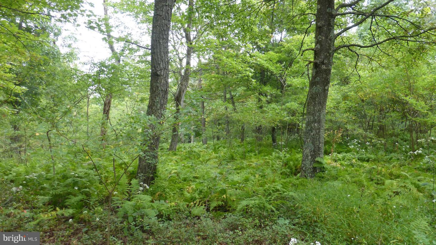 LOT 18 TOP OF THE MOUNTAIN RD   - REMAX Realty Group Rehoboth Real Estate