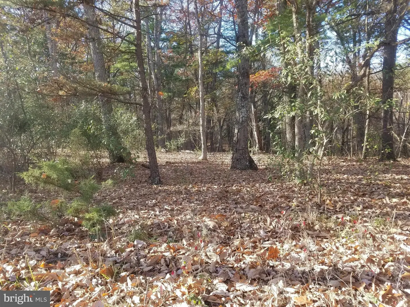 TURKEY HOLLOW RD   - REMAX Realty Group Rehoboth Real Estate