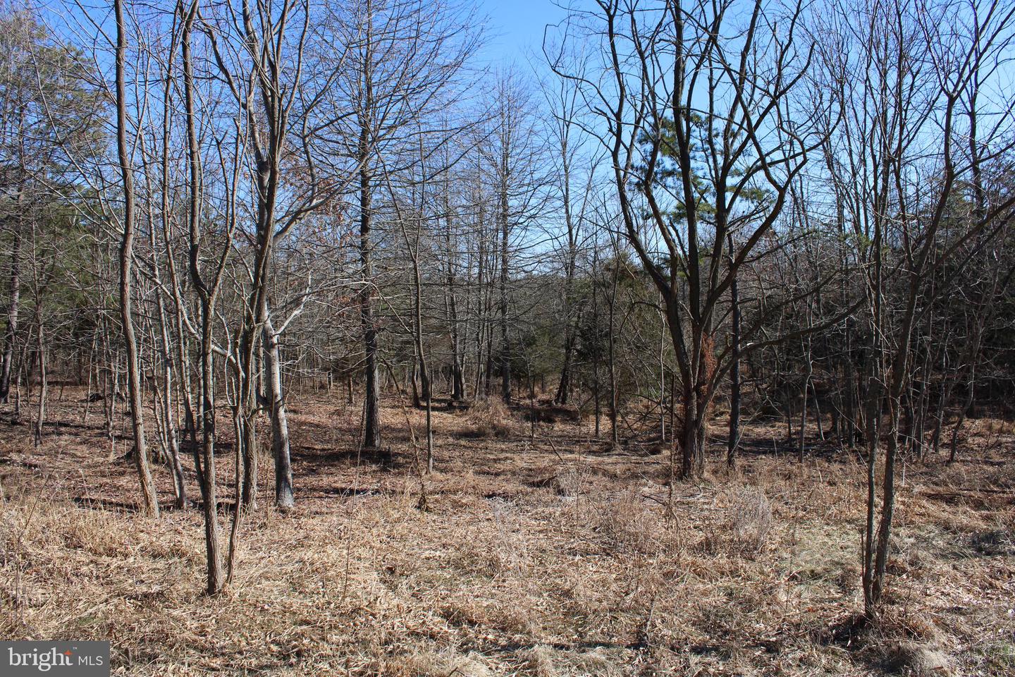 LOT 178 MAJESTIC VIEW LN   - REMAX Realty Group Rehoboth Real Estate
