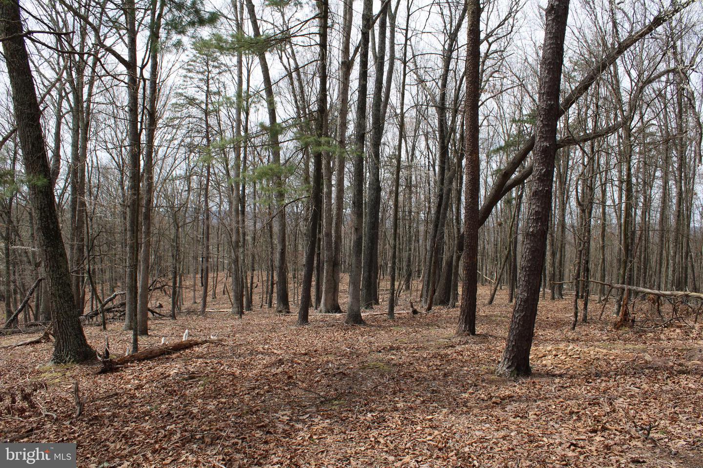 LOT 26 E REDSTONE TRAIL   - REMAX Realty Group Rehoboth Real Estate