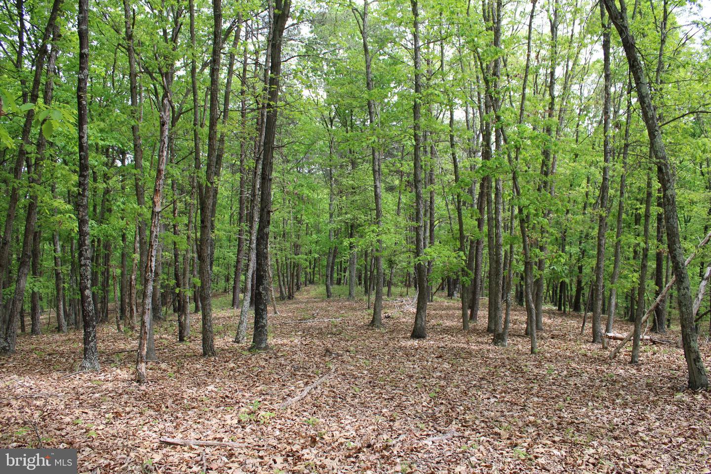 21.23 AC OAK RIDGE RD   - REMAX Realty Group Rehoboth Real Estate