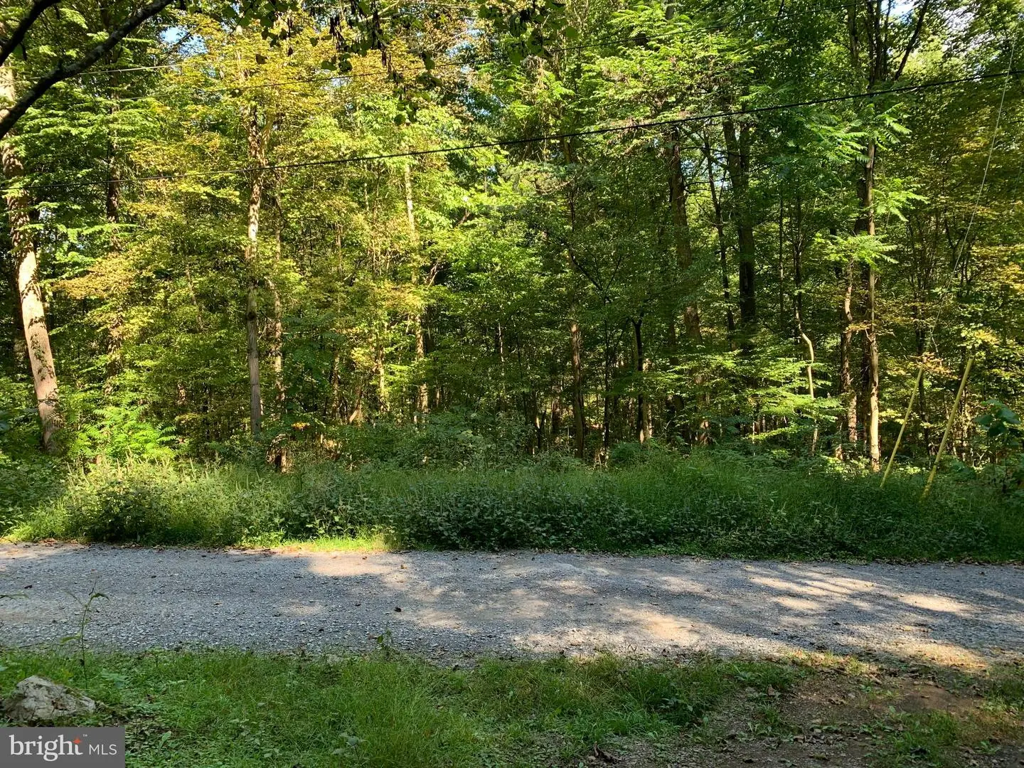 LOT 17 CACAPON RETREAT LN   - REMAX Realty Group Rehoboth Real Estate