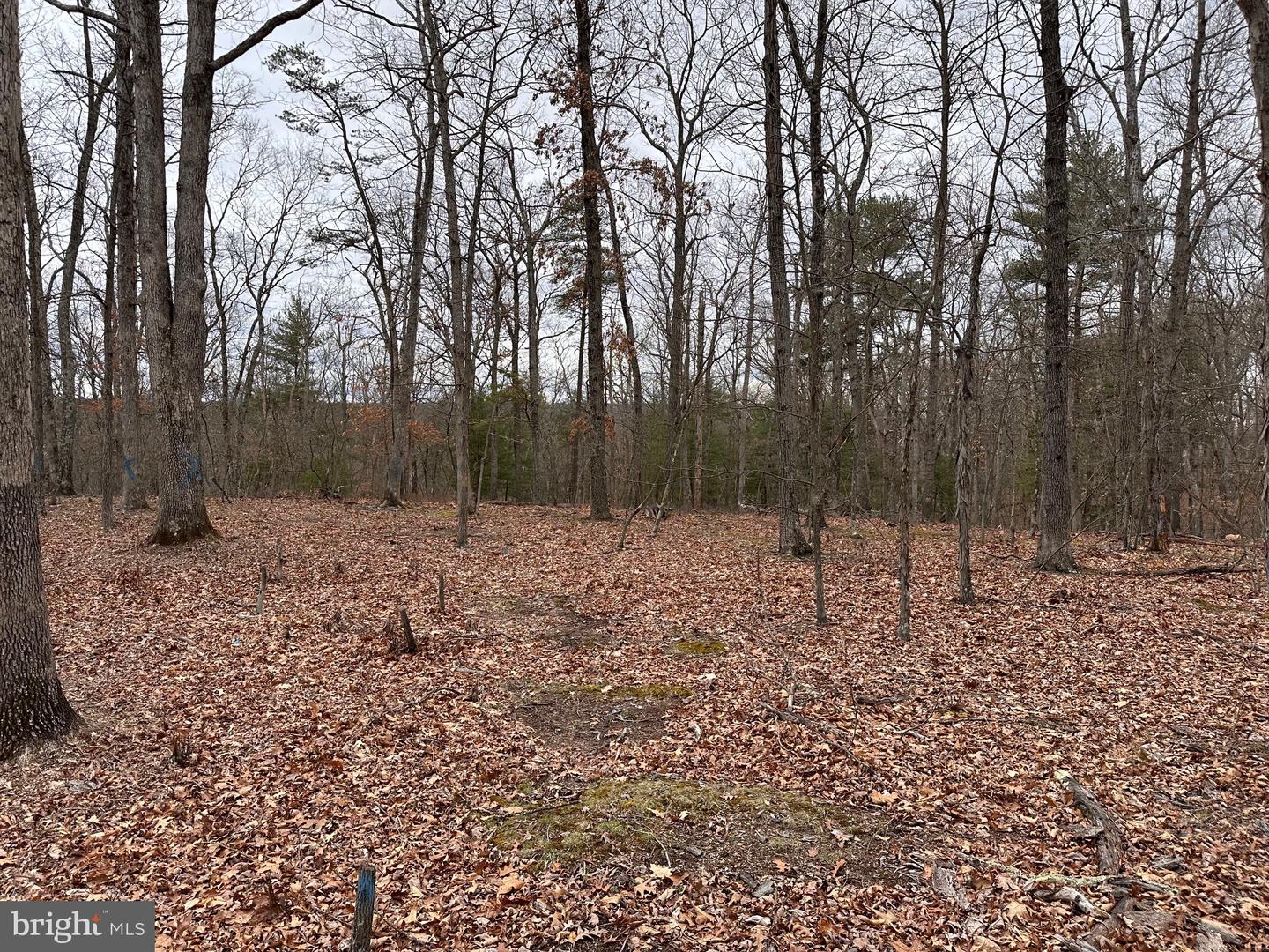 LOT 30 PERSIMMON TREE LANE   - REMAX Realty Group Rehoboth Real Estate