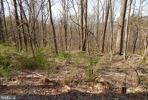 LOT 1 SPICY CEDAR LANE   - REMAX Realty Group Rehoboth Real Estate